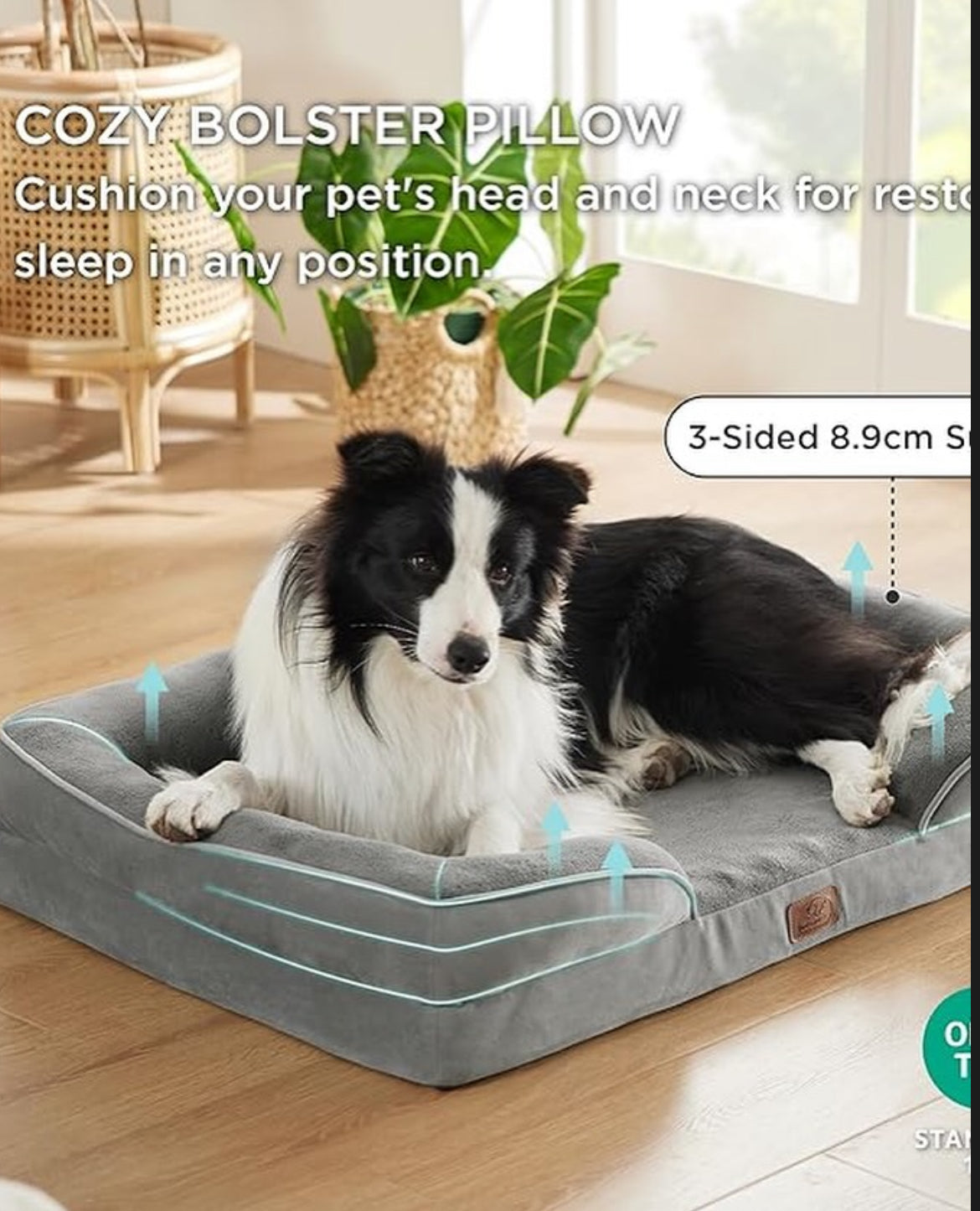 Cama ortopédica impermeable XL