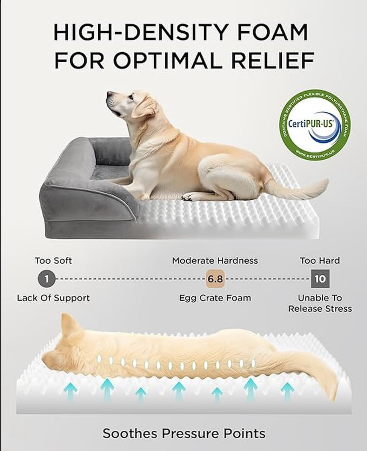Cama ortopédica impermeable XL
