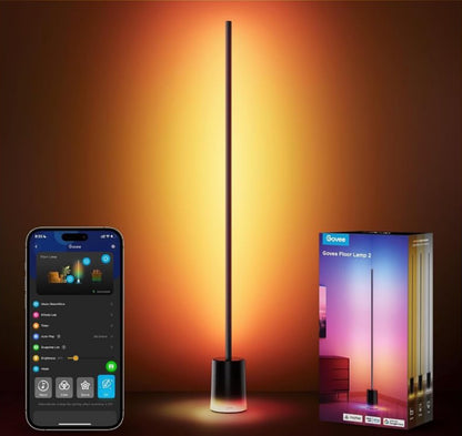 Govee Floor Lamp 2
