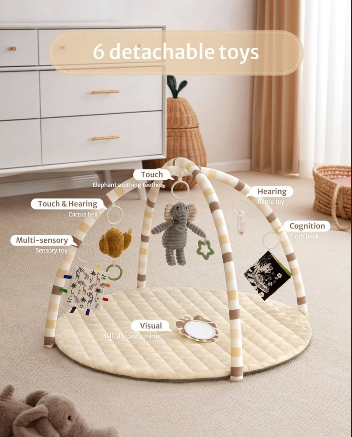 Gimnasio de actividades