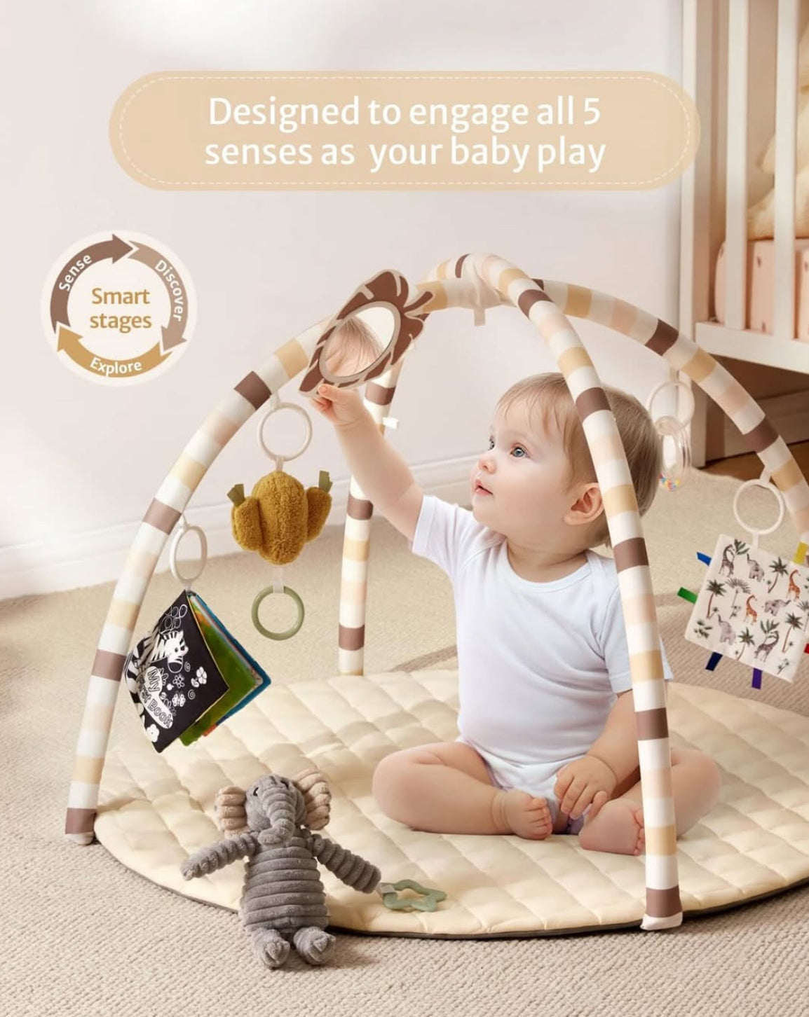 Gimnasio de actividades