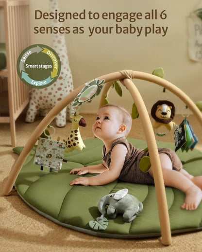 Gimnasio de actividades